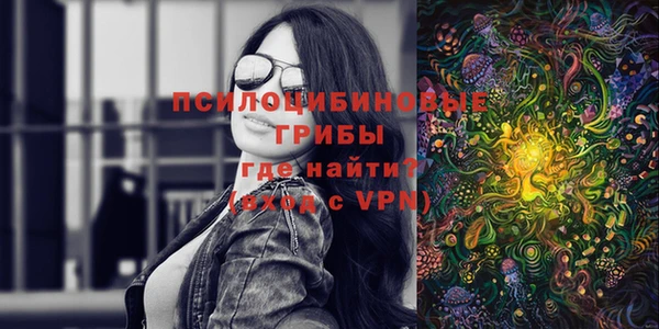 хмурый Алексеевка