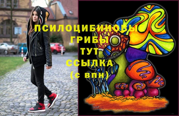 хмурый Алексеевка