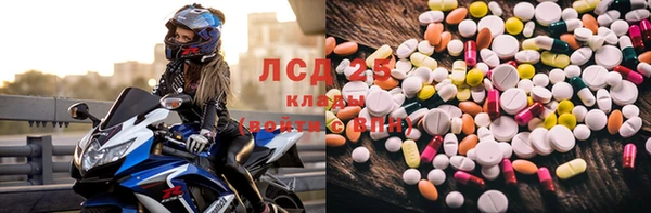 ПСИЛОЦИБИНОВЫЕ ГРИБЫ Алзамай