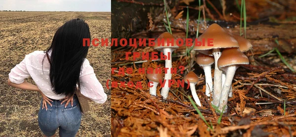 ПСИЛОЦИБИНОВЫЕ ГРИБЫ Алзамай